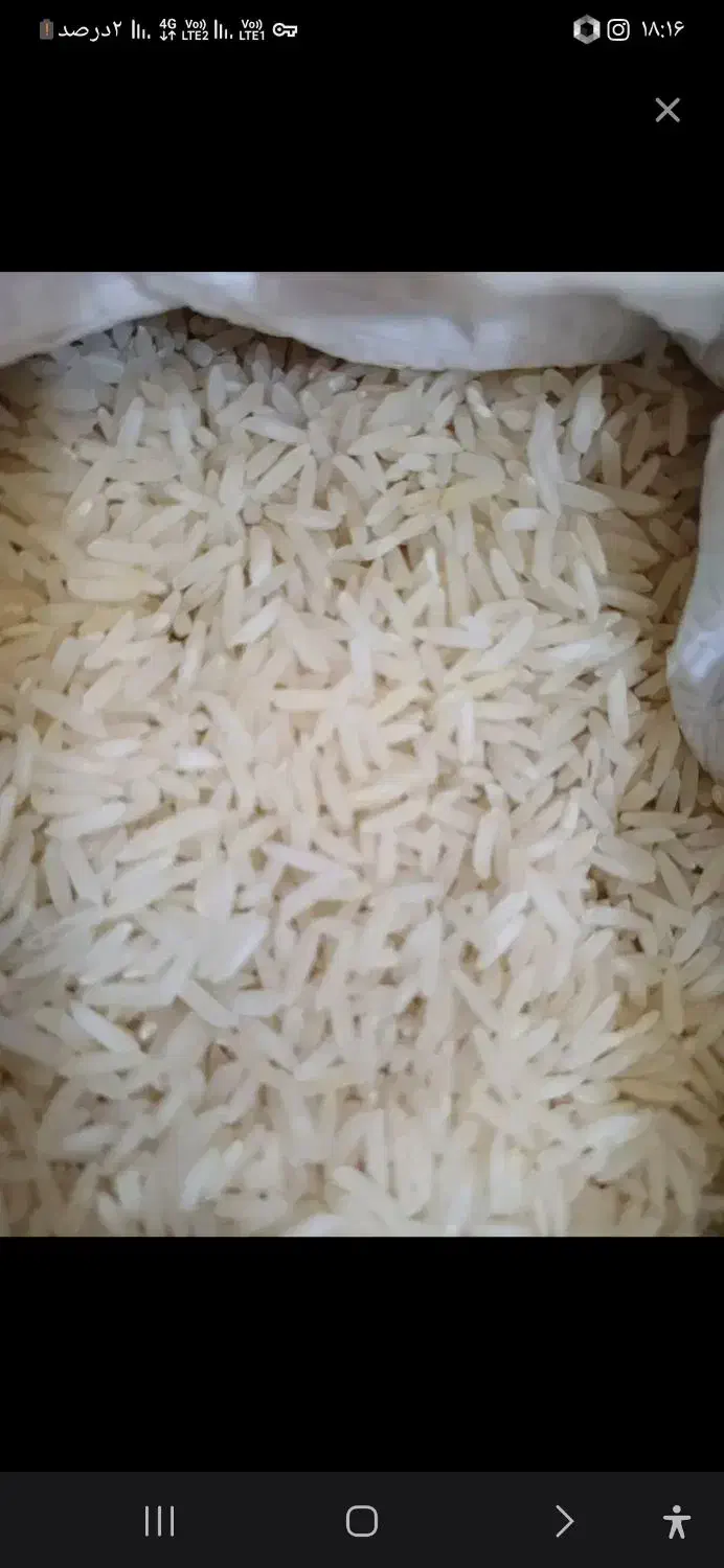 برنج فروشی|خوردنی و آشامیدنی|ایرانشهر, |دیوار