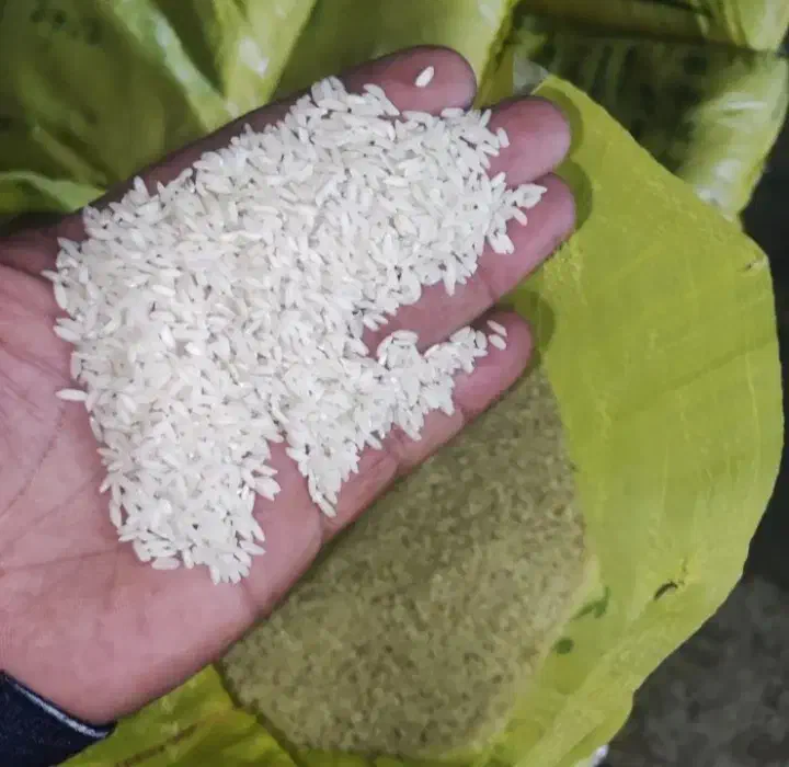 کمپلو شمالی|عمدهفروشی|اهواز, کمپلو شمالی|دیوار