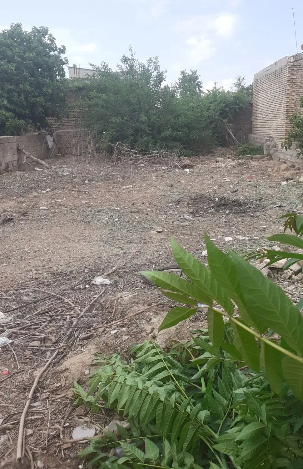 زمین مسکونی مینودشت.. گلستان فروشی|فروش زمین و ملک کلنگی|مشهد, شهرک ابوذر|دیوار