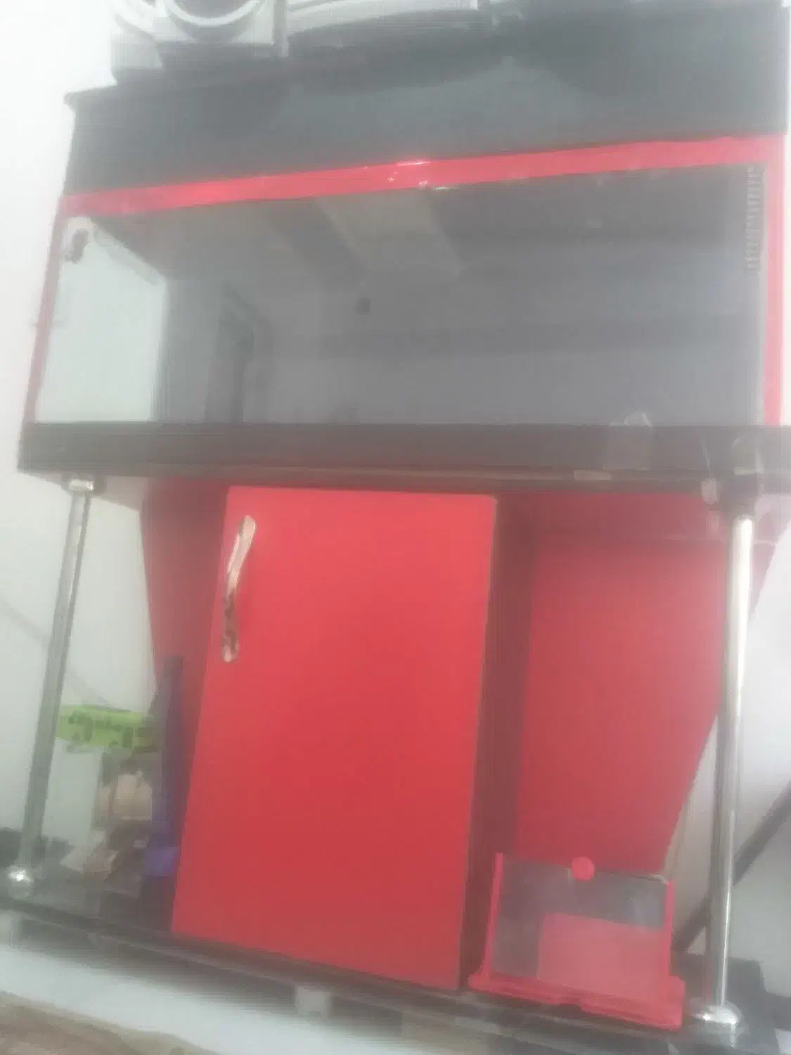 اکواریوم|ماهی|اسلام‌‌آباد غرب, |دیوار