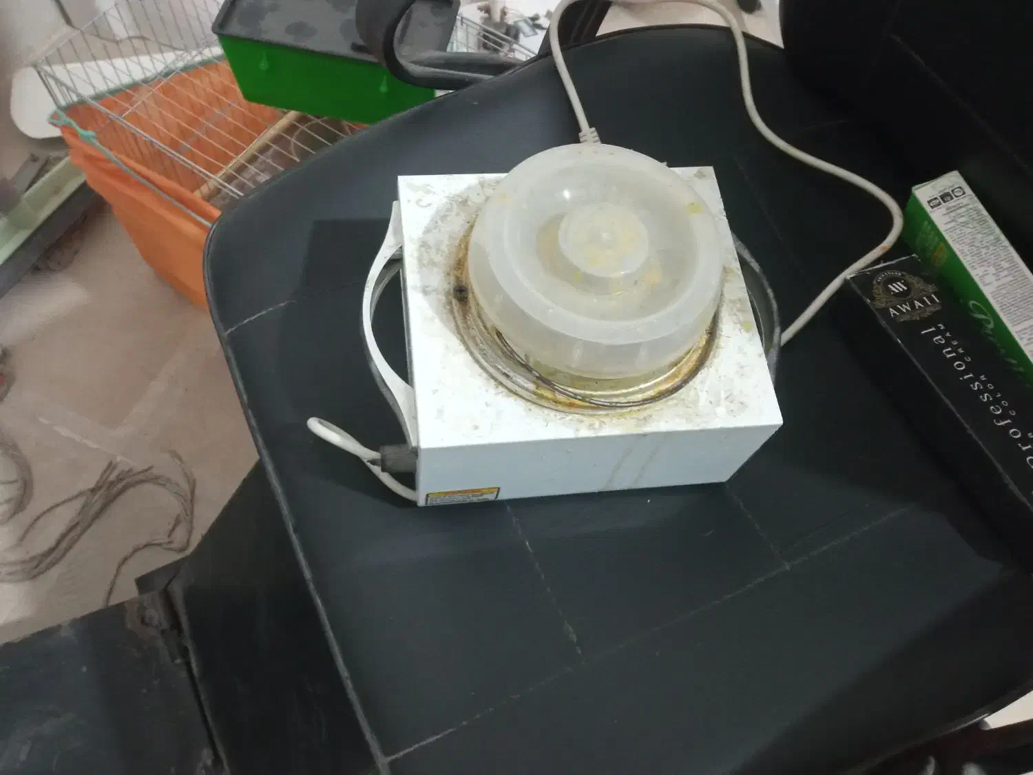 وسایل ارایشگاه|آرایشگاه و سالنهای زیبایی|بردسیر, |دیوار