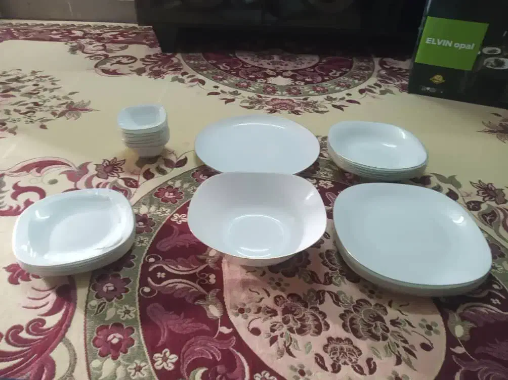 سرویس.چینی.۲۴تیکه.بفرش میرسد|ظروف سرو و پذیرایی|صحرای باغ, |دیوار