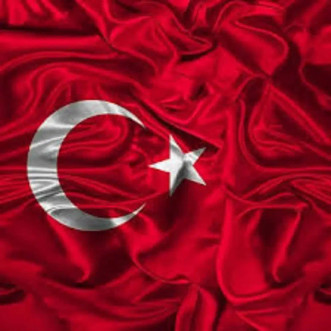 استخدام جوشکار،آرماتوروقالببند،دیوارچین درترکیه|استخدام معماری، عمران و ساختمانی|تهران, پونک|دیوار