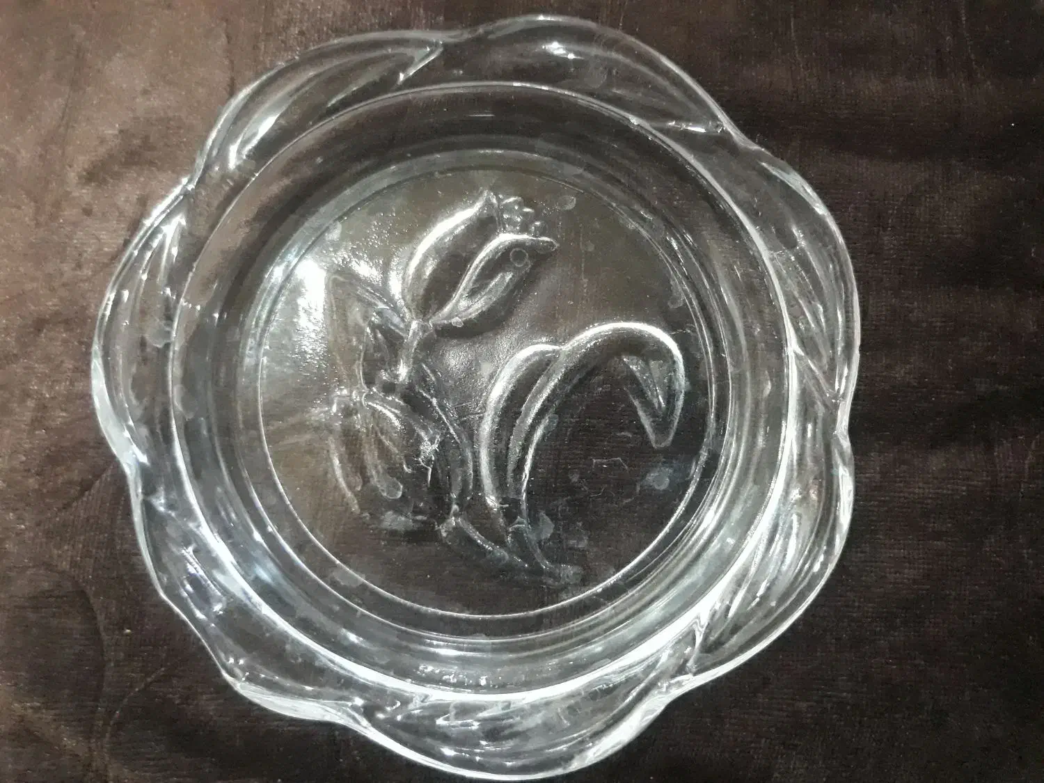 ۲۴ عدد زیر لیوانی|ظروف نگهدارنده، پلاستیکی، یک‌بارمصرف|شوش, |دیوار