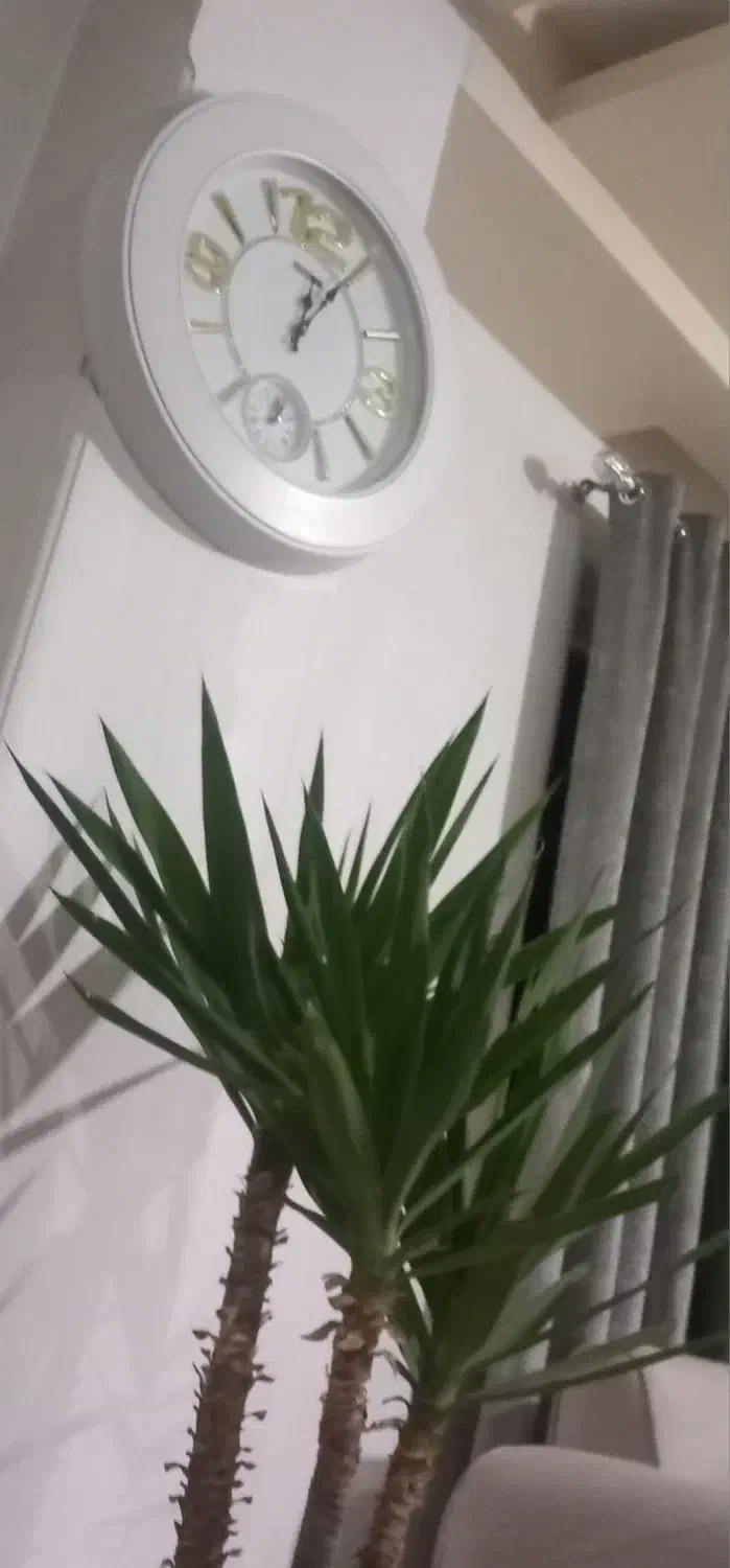 ساعت|ساعت|صومعهسرا, |دیوار