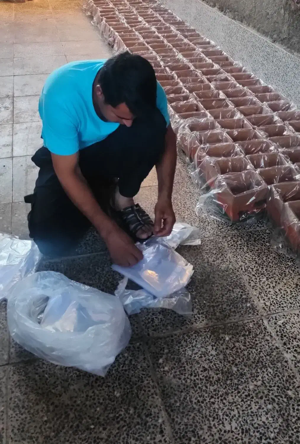 خرمای شاهانی خاوران درجه یک ارسال مستقیم از باغدار|خوردنی و آشامیدنی|شیراز, لاله|دیوار