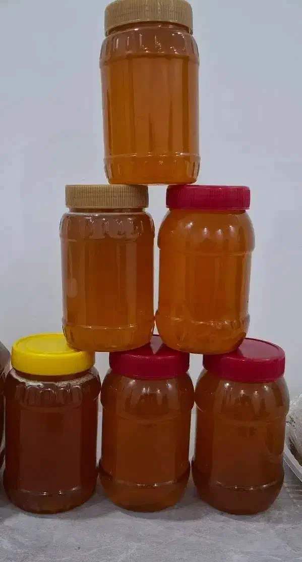 فروش عسل کوهی ( زنبور ریز) اصل|خوردنی و آشامیدنی|جم, |دیوار