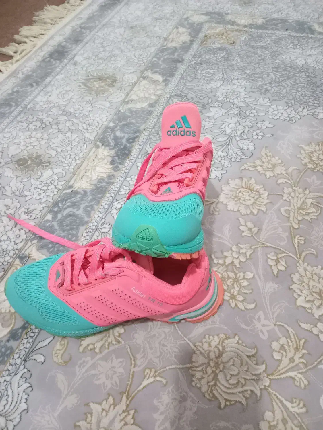 کتونی|کیف، کفش، کمربند|صفادشت, |دیوار