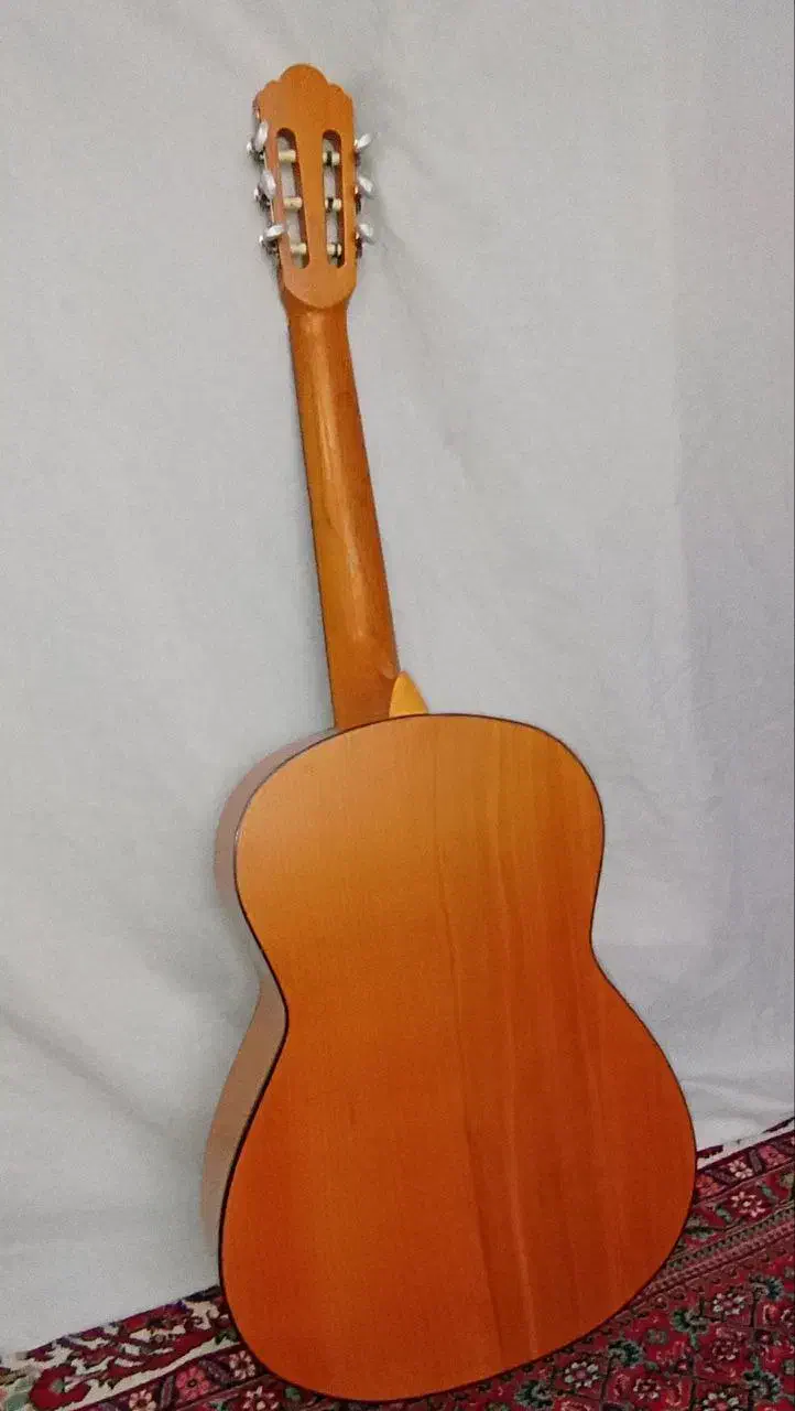 گیتار کلاسیک|گیتار، بیس، امپلیفایر|اردبیل, |دیوار