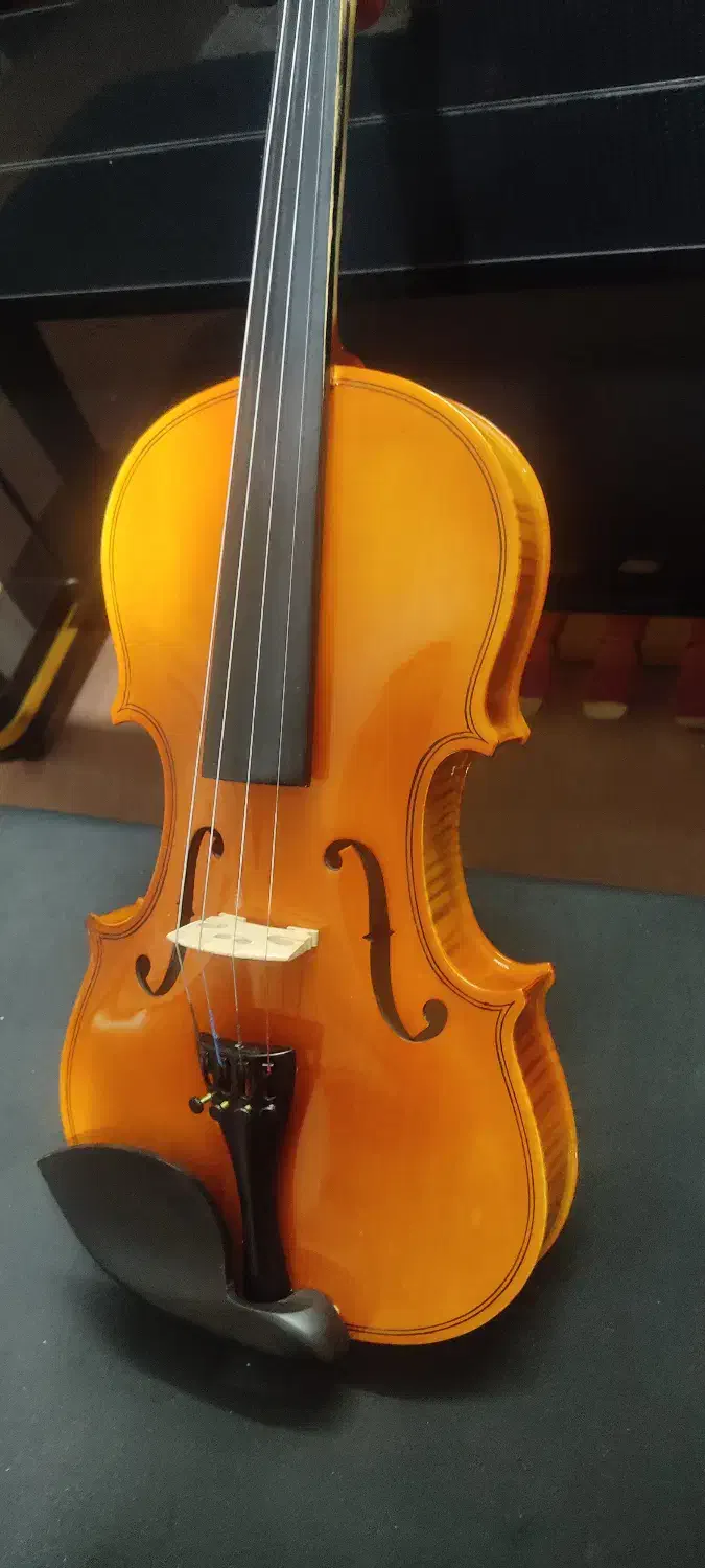 ویولن|ویولن|زاهدان, |دیوار