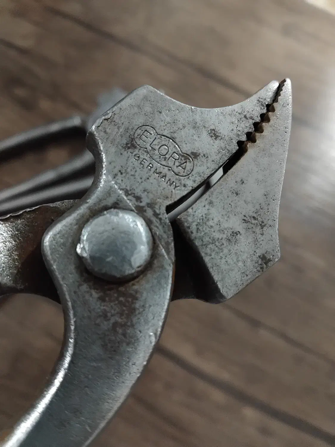 گاز انبر کار کشی مخصوص کفاشی|ابزارآلات|زرندیه, |دیوار