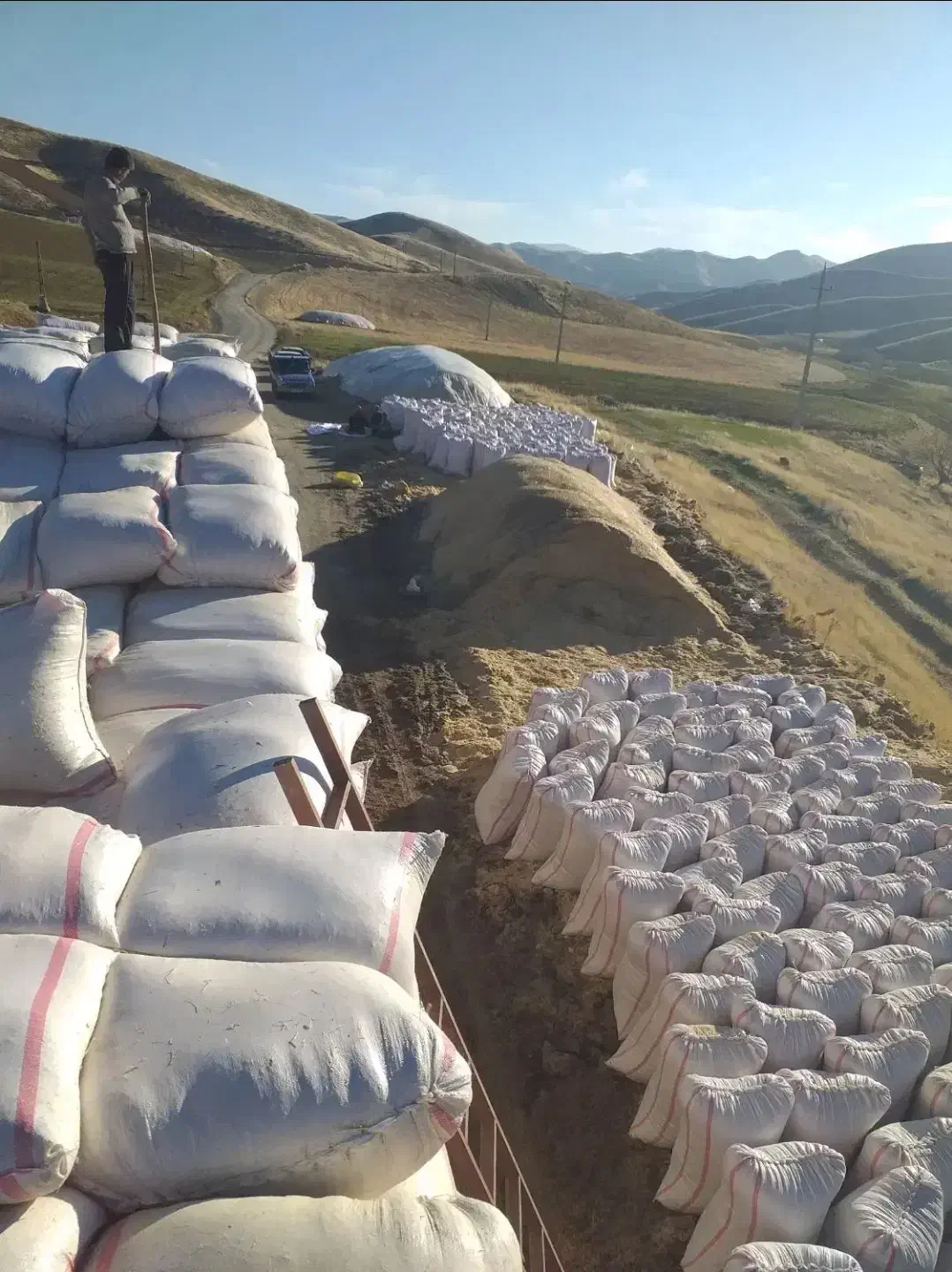 کاه گندم دیم|خدمات باغبانی و درختکاری|قیدار, |دیوار