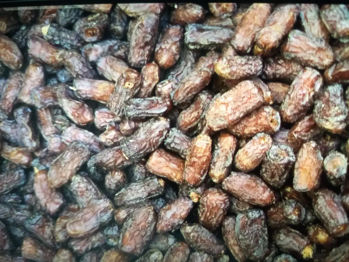 فروش عمده خرما پیارم تناژ|عمدهفروشی|حاجی آباد, |دیوار