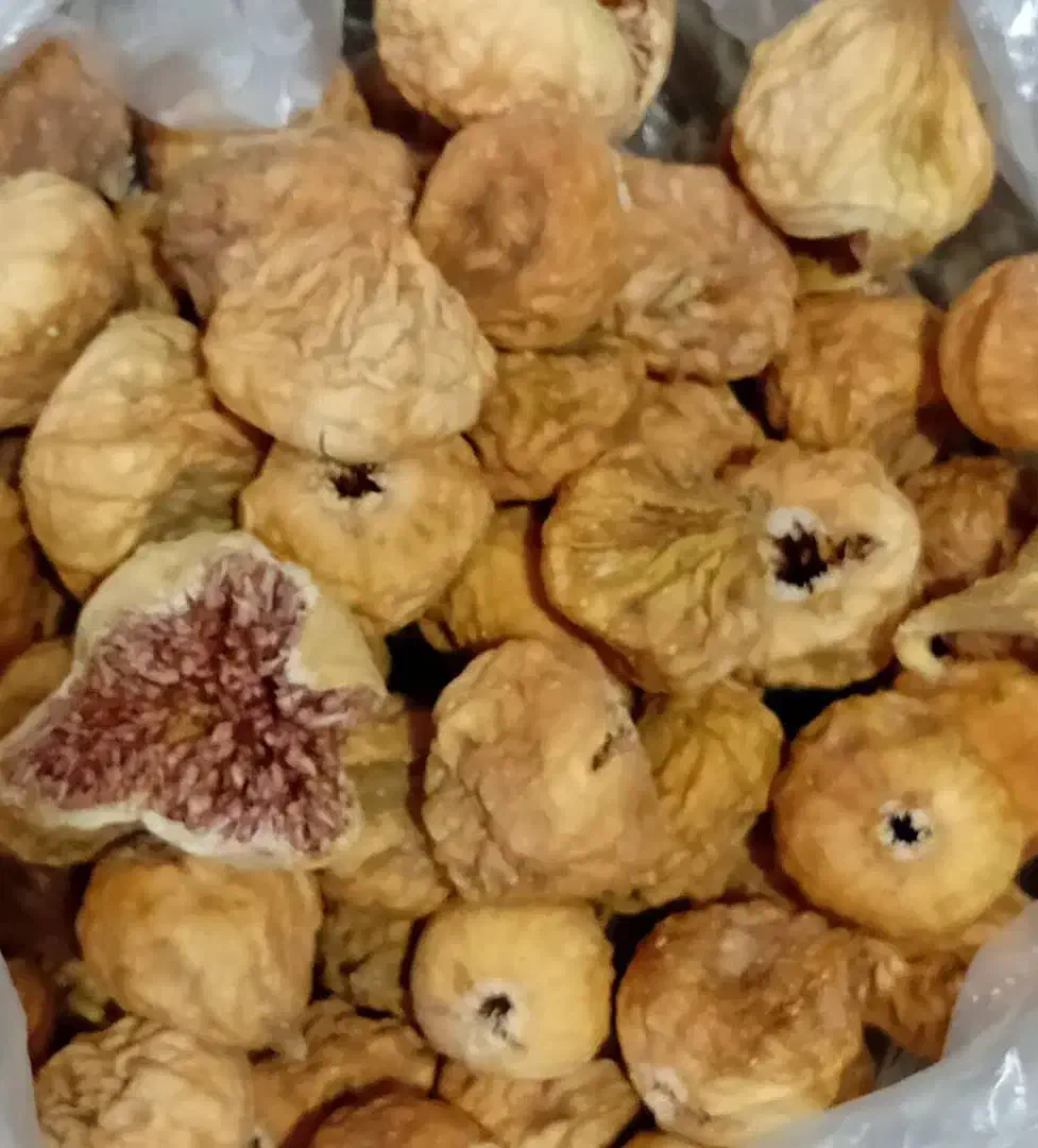 انجیر نرم تازه|خوردنی و آشامیدنی|مرودشت, کوشک|دیوار