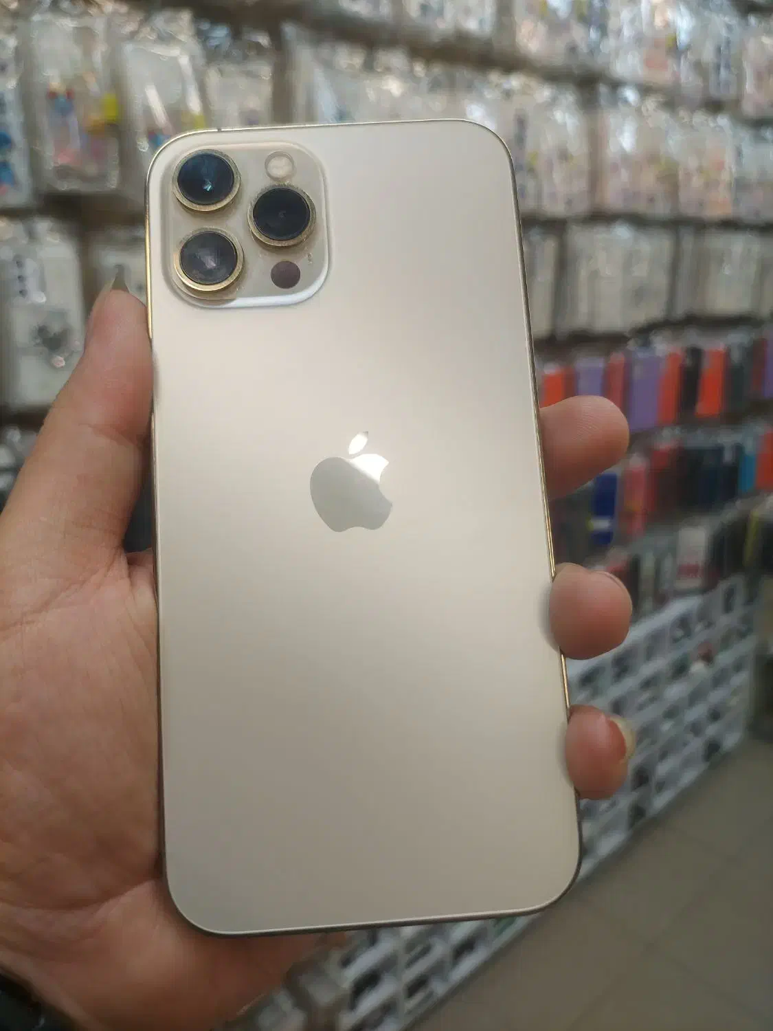 17promax /12promax|موبایل|مشهد, جنت|دیوار