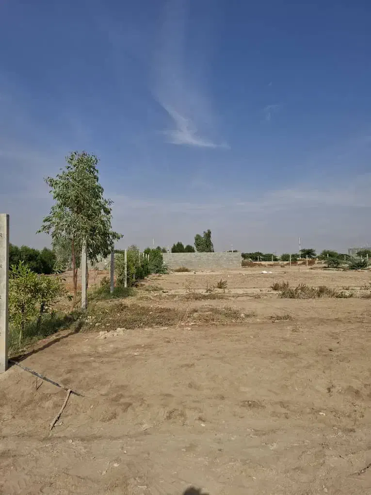 زمین باغی هندیجان|فروش زمین و ملک کلنگی|هندیجان, |دیوار