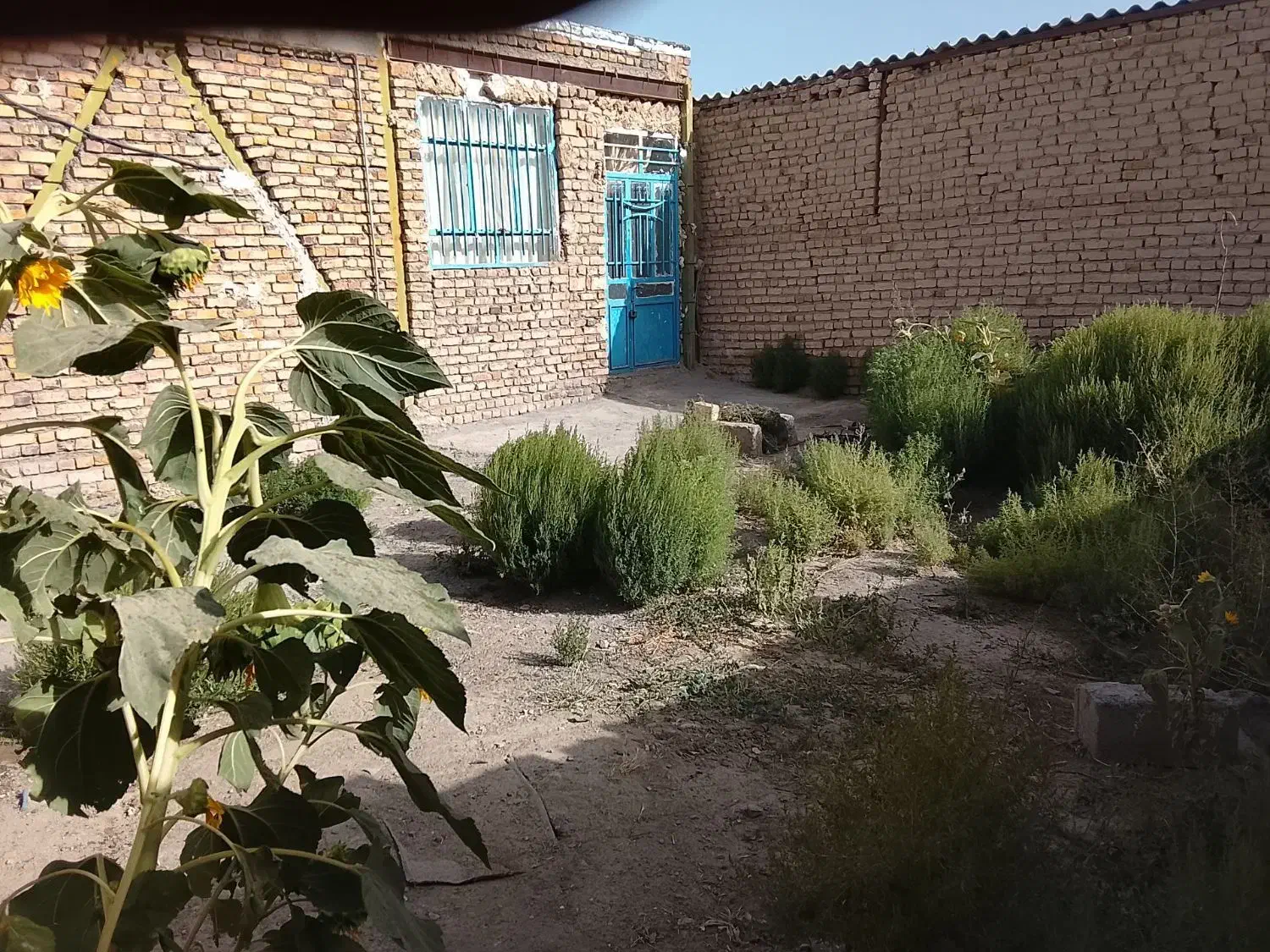 خانه وزمین|فروش خانه و ویلا|فریمان, |دیوار