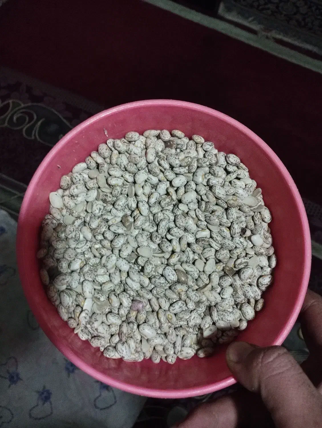 لوبیاچتی.ابلق|عمده‌فروشی|معمولان, |دیوار