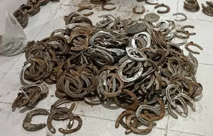 نعل اسب|اسب و تجهیزات اسب‌سواری|حمیدیا, |دیوار