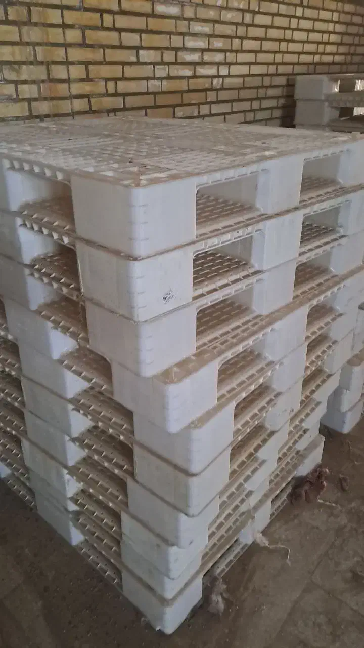 پالت|ظروف نگهدارنده، پلاستیکی، یک‌بارمصرف|آران و بیدگل, |دیوار