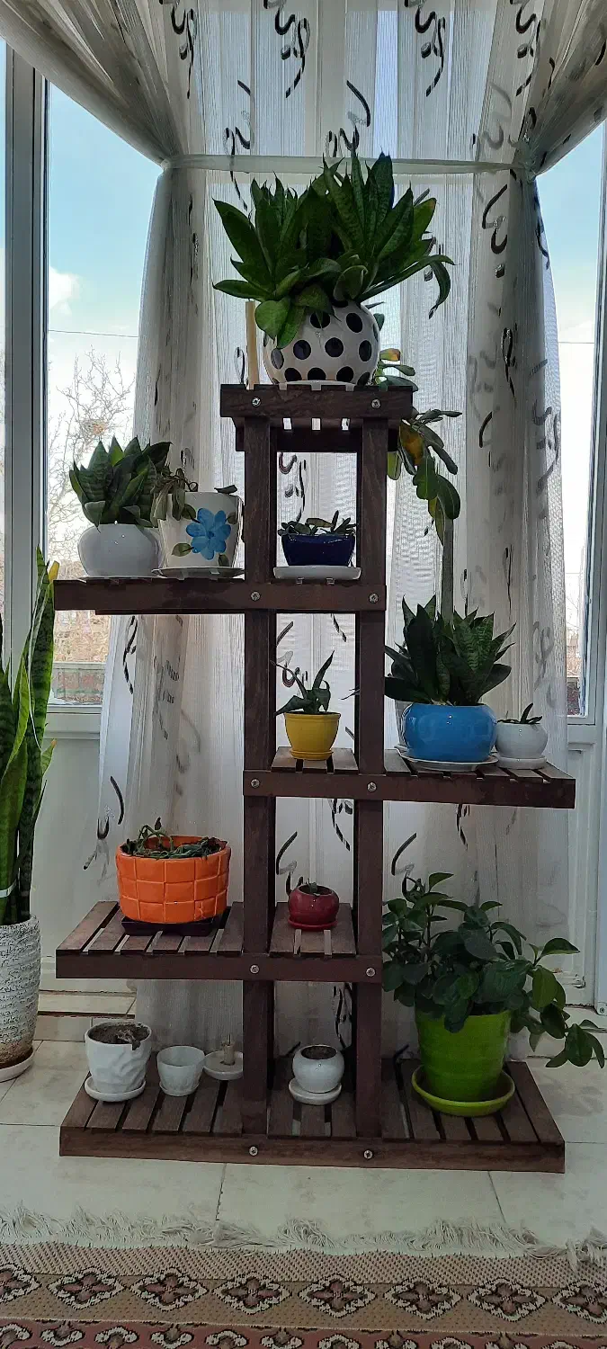 شلف چوبی|کتابخانه، شلف، قفسههای دیواری|ملایر, |دیوار