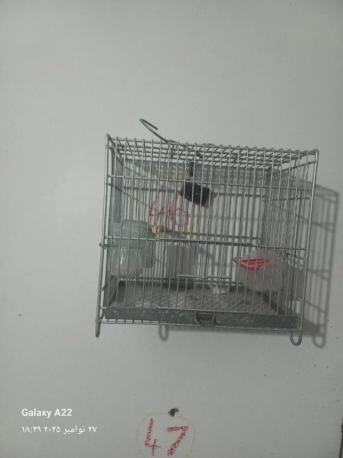 قفس سهره غلامی|لوازم جانبی حیوانات|فسا, |دیوار