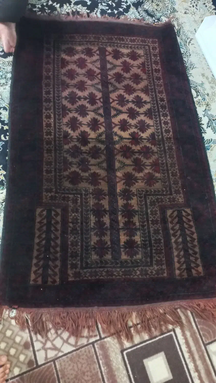 قالیچه دست بافت|فرش|مشهد, طبرسی شمالی|دیوار