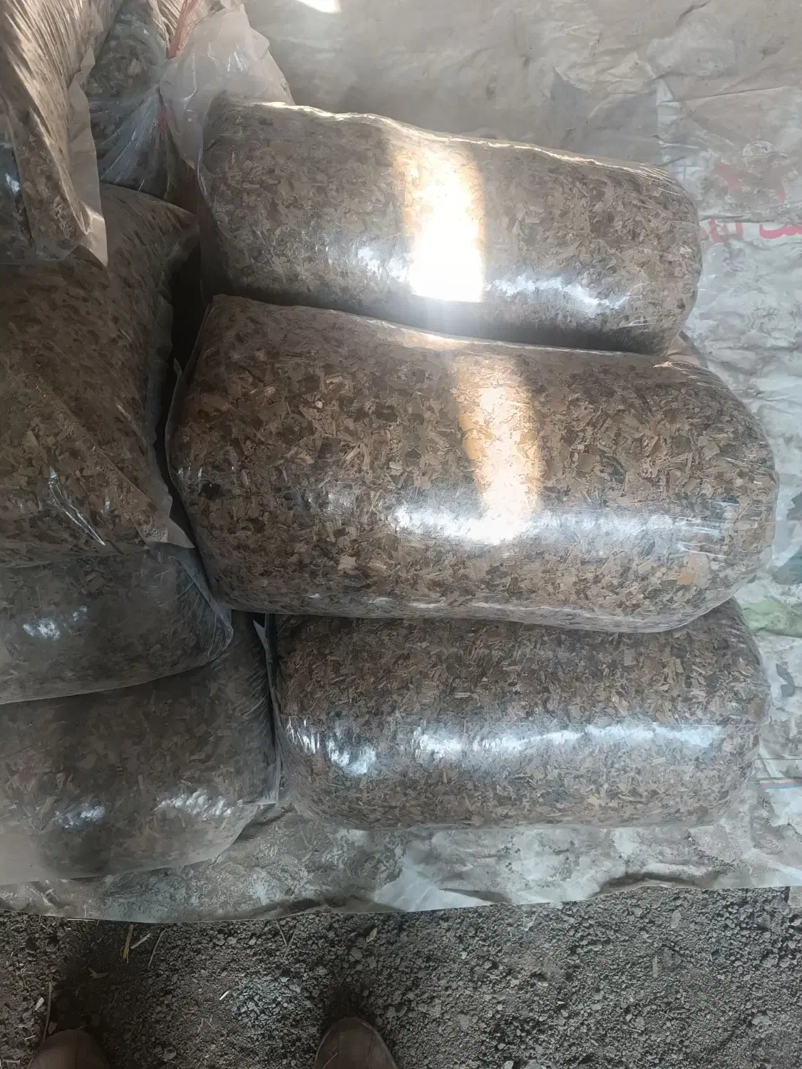 باسلام ذرت دامی پردان مناسب گاوداری|عمدهفروشی|اقبالیه, |دیوار