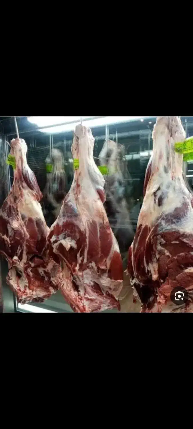 یک نفر قصاب و یک کارگر ساده|استخدام خدمات فروشگاه و رستوران|پردیس, فاز ۳|دیوار