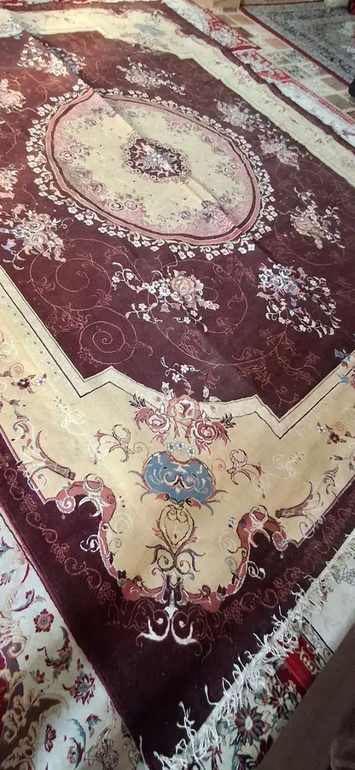 قالی|فرش|امیدیه, |دیوار