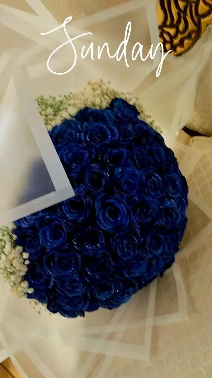 شب چله|گل مصنوعی|قم, نیروگاه|دیوار