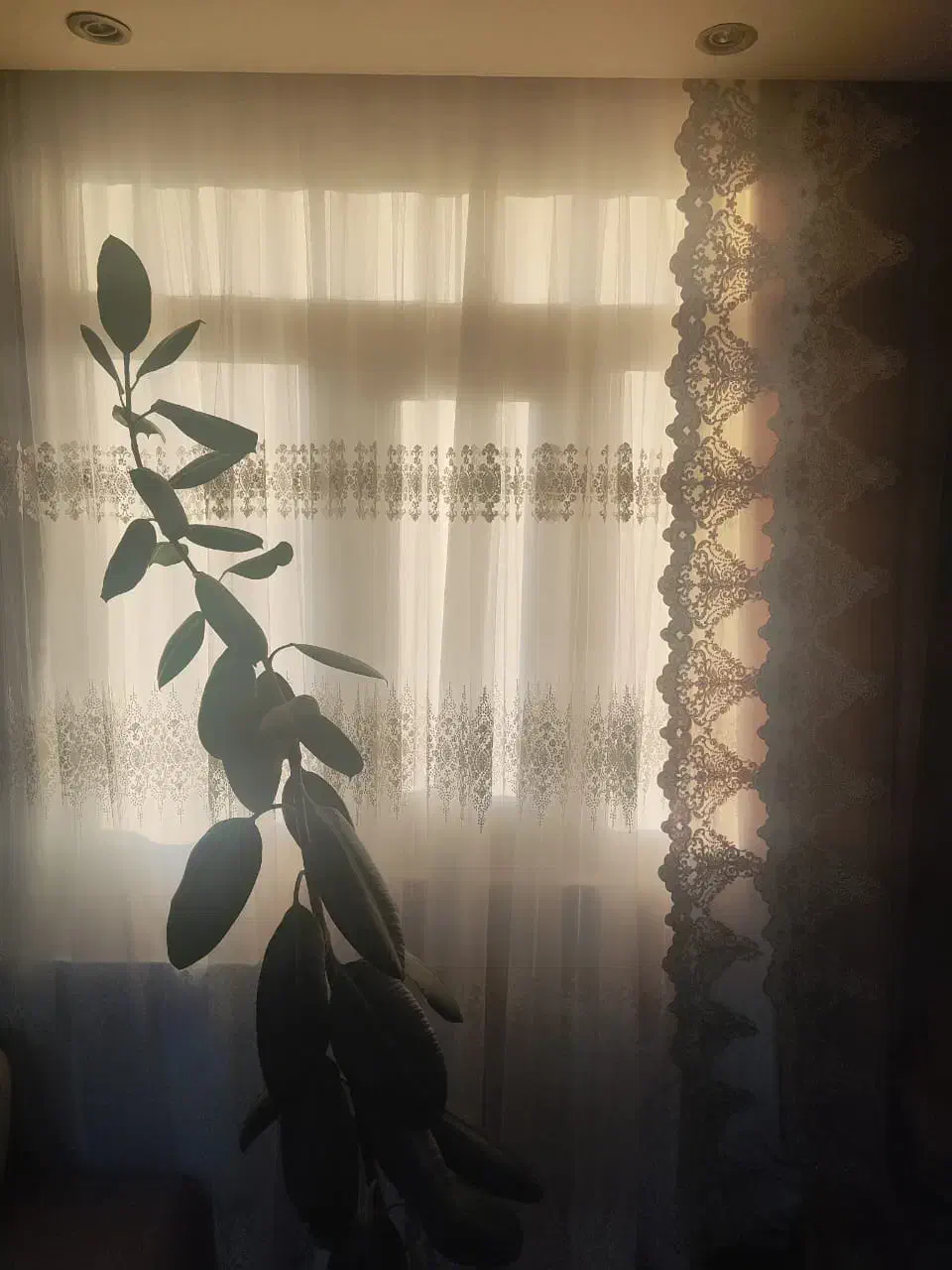 کلی وسیله|حراج|کرج, شاهین‌ویلا|دیوار