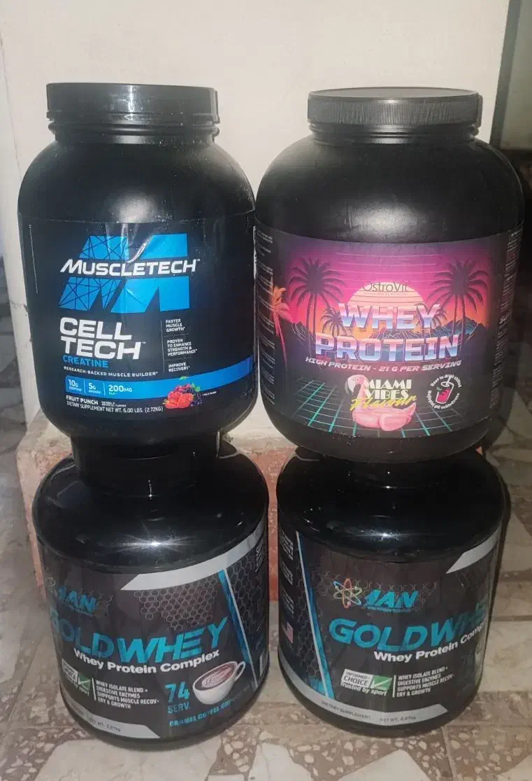 دبه خالی پروتئین وی|ظروف نگهدارنده، پلاستیکی، یکبارمصرف|رودسر, |دیوار