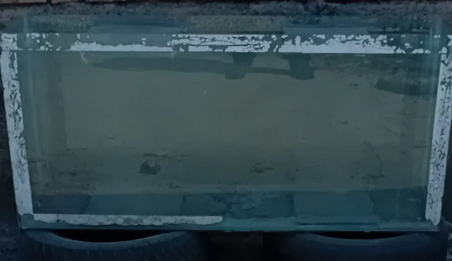 اکواریوم|ماهی|رفسنجان, |دیوار