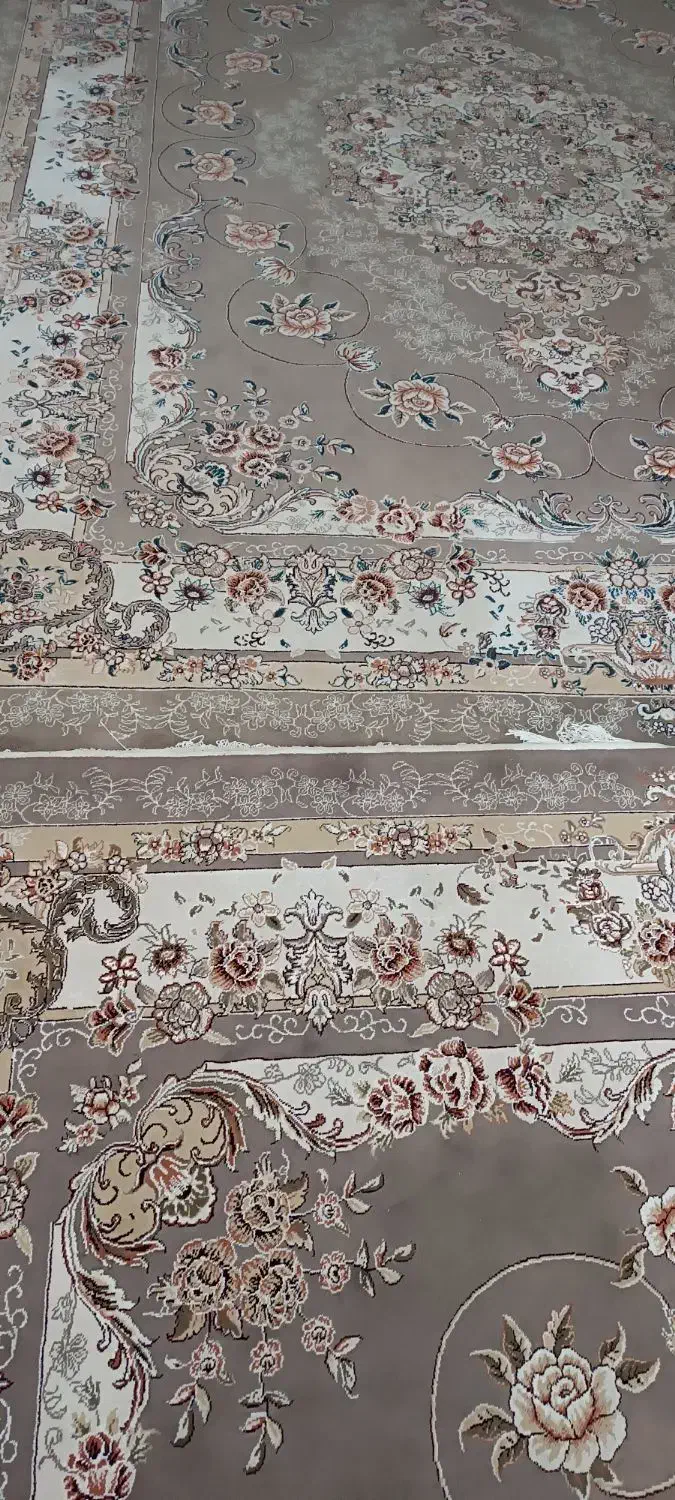 فرش ۱۲متری|فرش|کرمانشاه, |دیوار