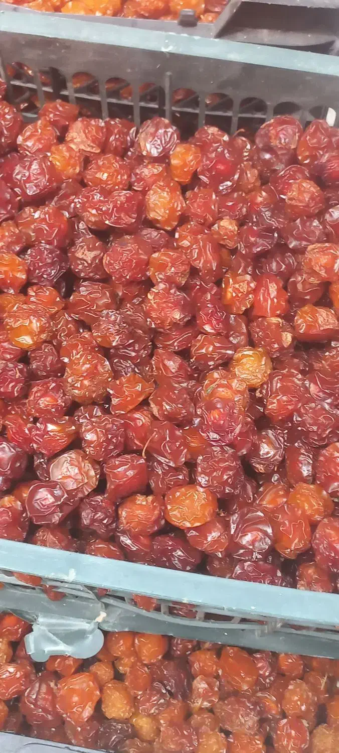 آلو وآلوچه|خوردنی و آشامیدنی|برخوار, |دیوار