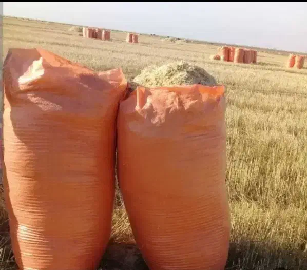 گاه فروشی|لوازم جانبی حیوانات|سملقان, |دیوار