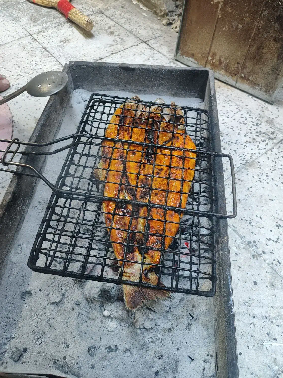 ماهی سالمون تازه تازه|ماهی|یاسوج, |دیوار