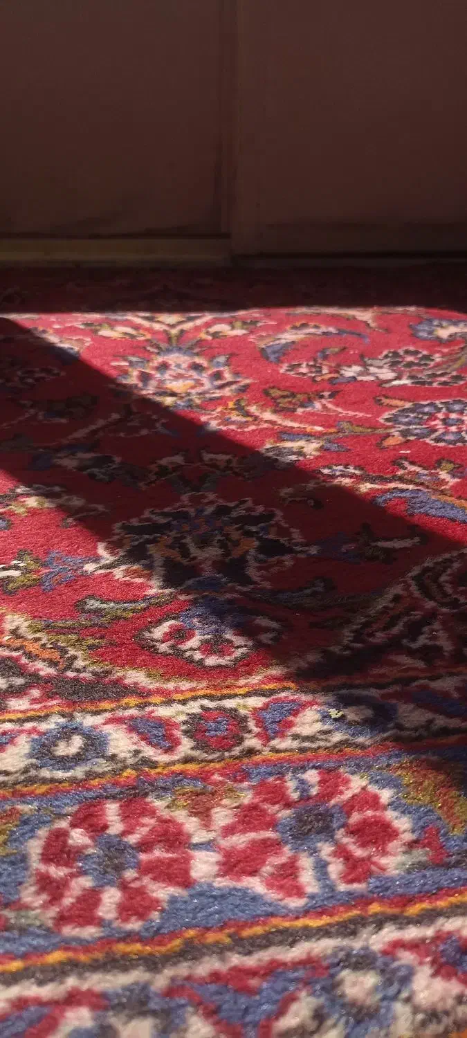 قالی دست باف نجف ابادی|فرش|اصفهان, سمسور|دیوار