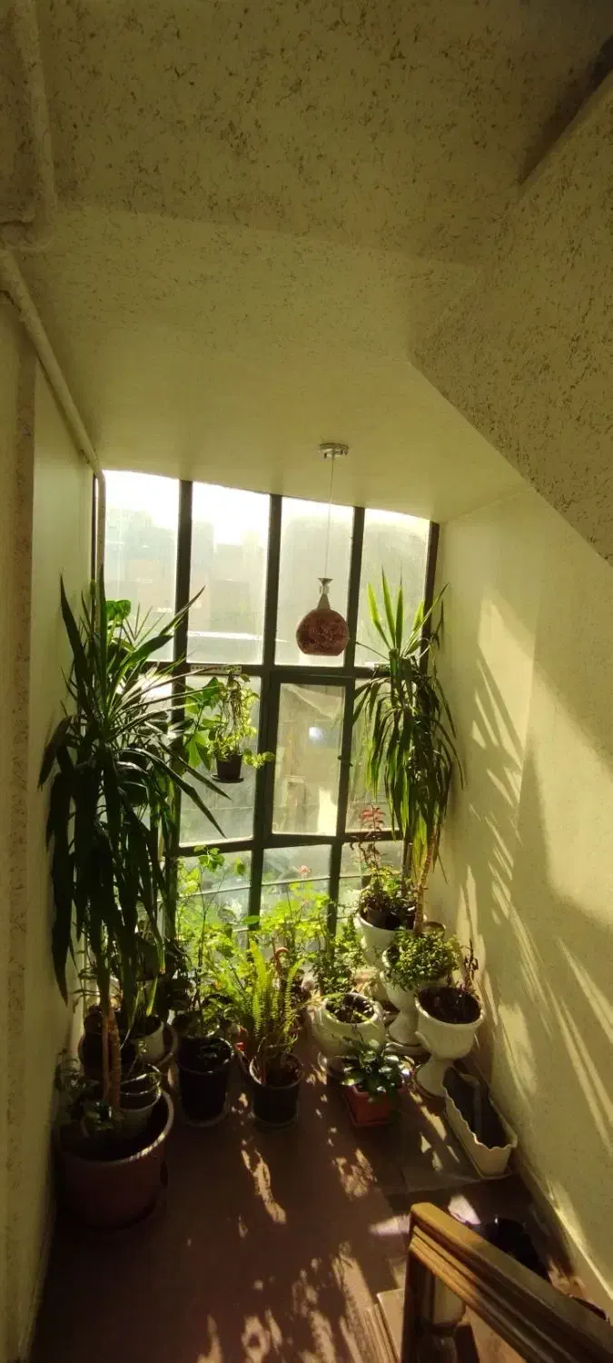 تک واحده بر خیابان اصلی کوی فیروز .فاطمی|فروش آپارتمان|تبریز, |دیوار