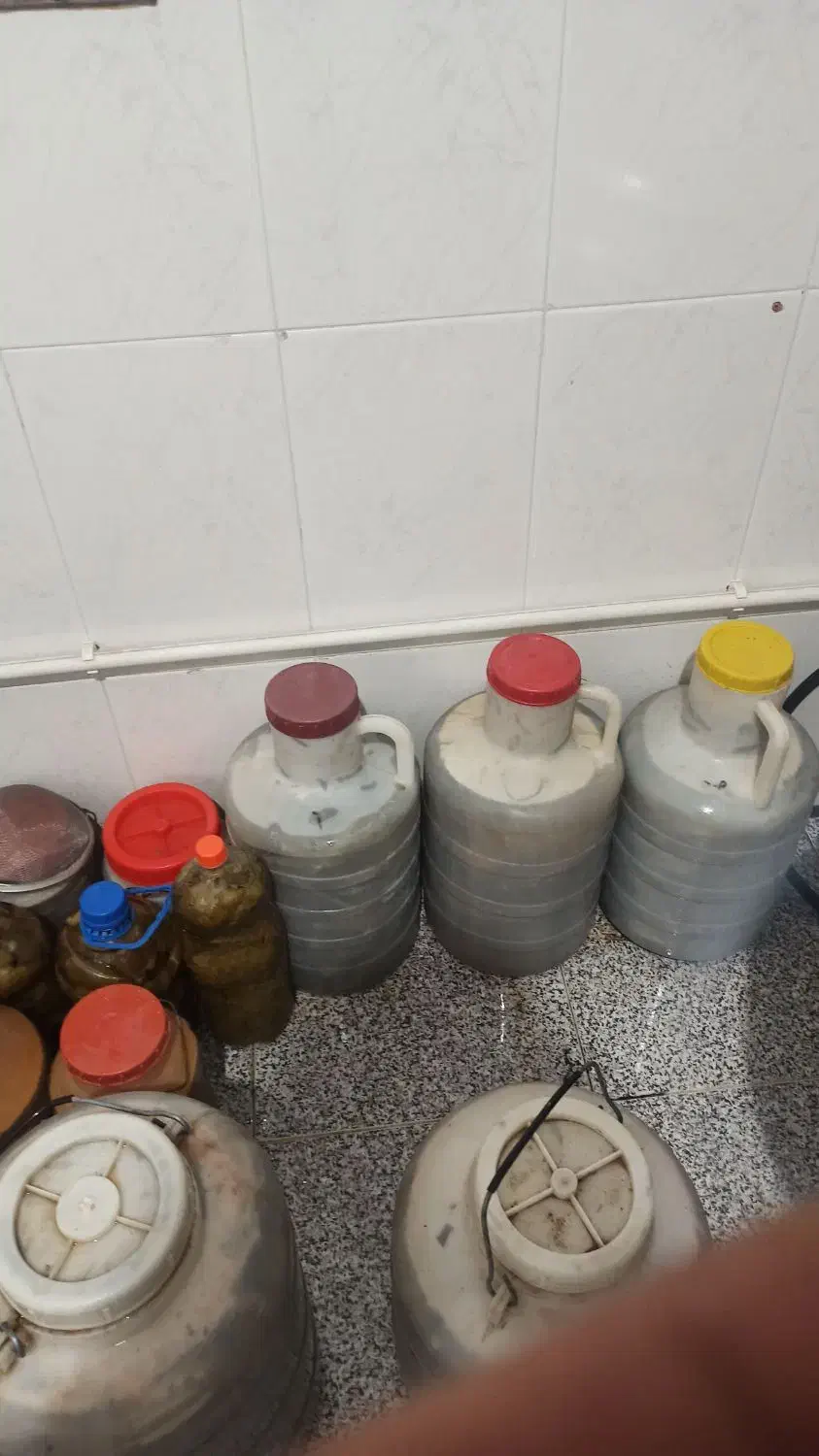 خیار شور ویژه|خوردنی و آشامیدنی|نقده, |دیوار