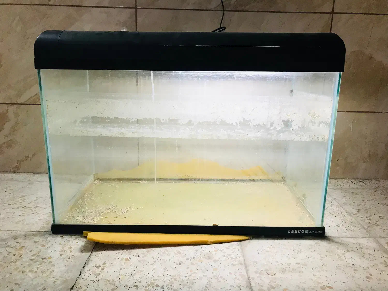 آکواریوم|ماهی|پردیس, فاز ۳|دیوار