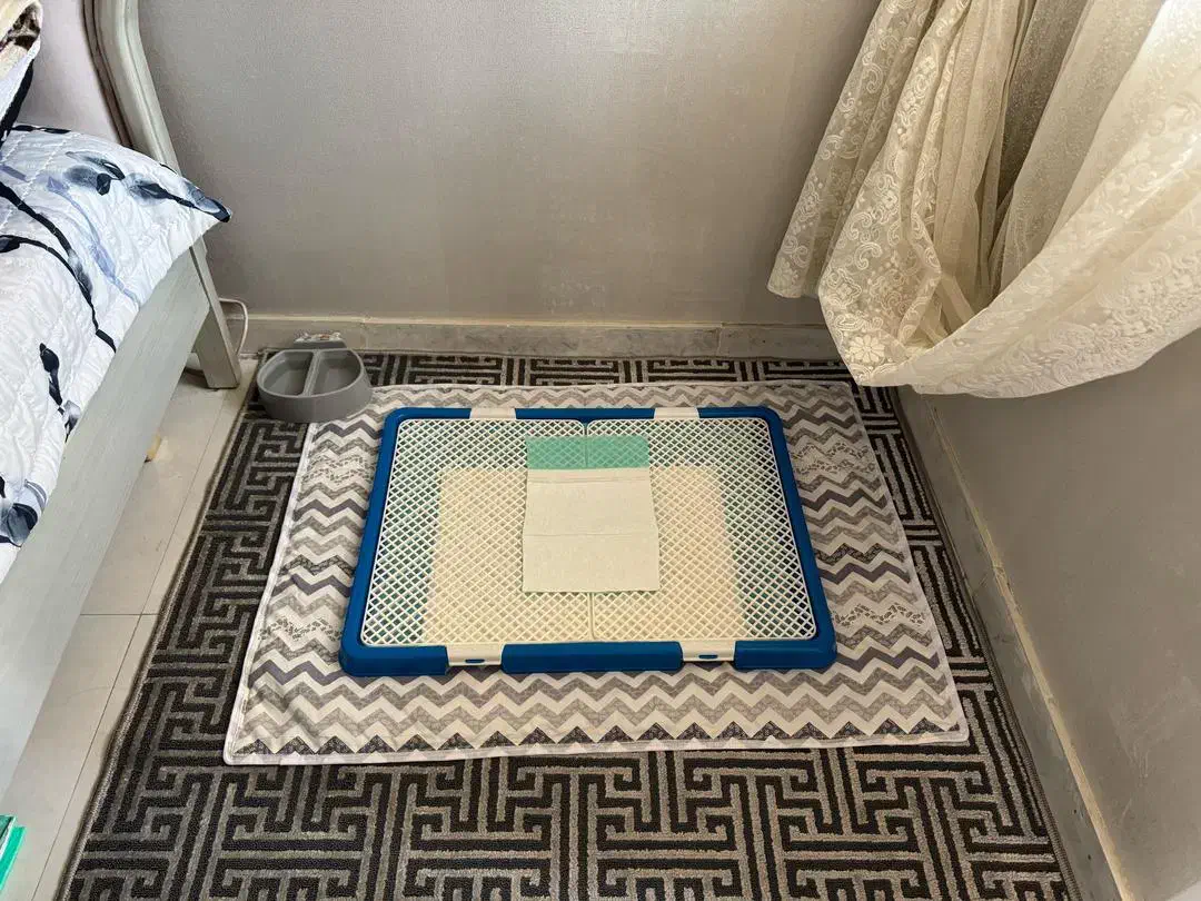 سینی ادرار و ظرف اب خوری سگ و گربه|لوازم جانبی حیوانات|مشهد, امیریه|دیوار