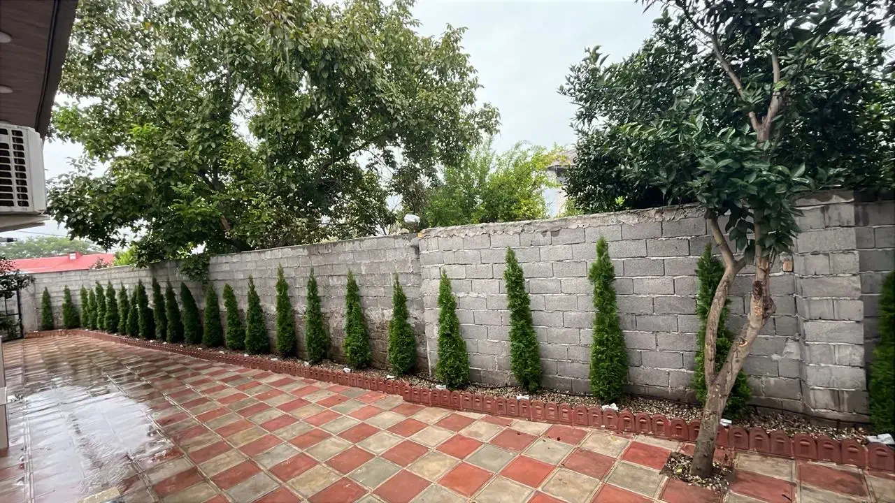 خدمات باغبانی وطراحی فضای سبز|خدمات باغبانی و درختکاری|بندر انزلی, انصار الحسین|دیوار