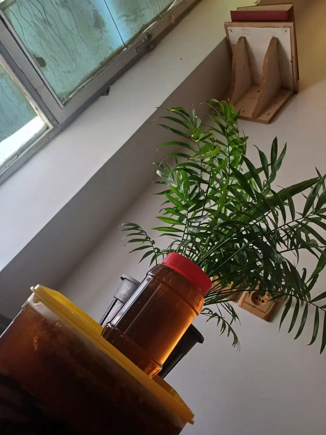 عسل با موم ، از دل کوهستان به سفره های پر مهر شما|خوردنی و آشامیدنی|شیراز, شهرک ولیعصر|دیوار