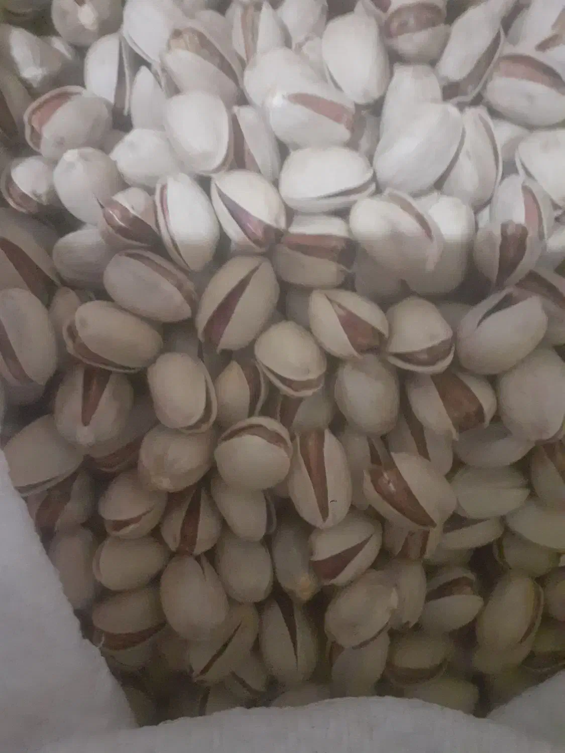 پسته خندان کله قوچی|خوردنی و آشامیدنی|نوده انقلاب, |دیوار