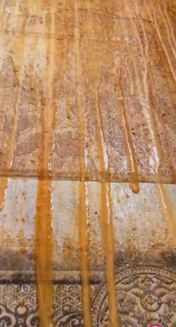 شرکت خدماتی ونظافتی آریامهر|خدمات نظافت|مشهد, کلاهدوز|دیوار