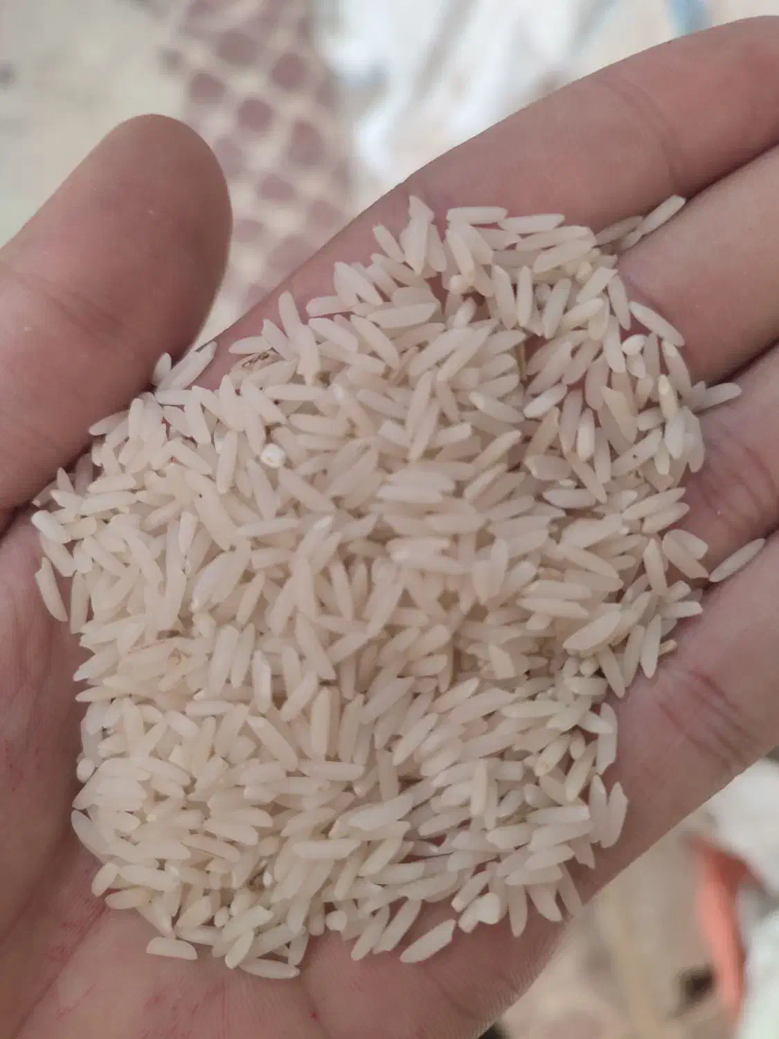 برنج سالم و نیم دانه هاشمی درجه یک|خوردنی و آشامیدنی|پارس‌آباد, |دیوار