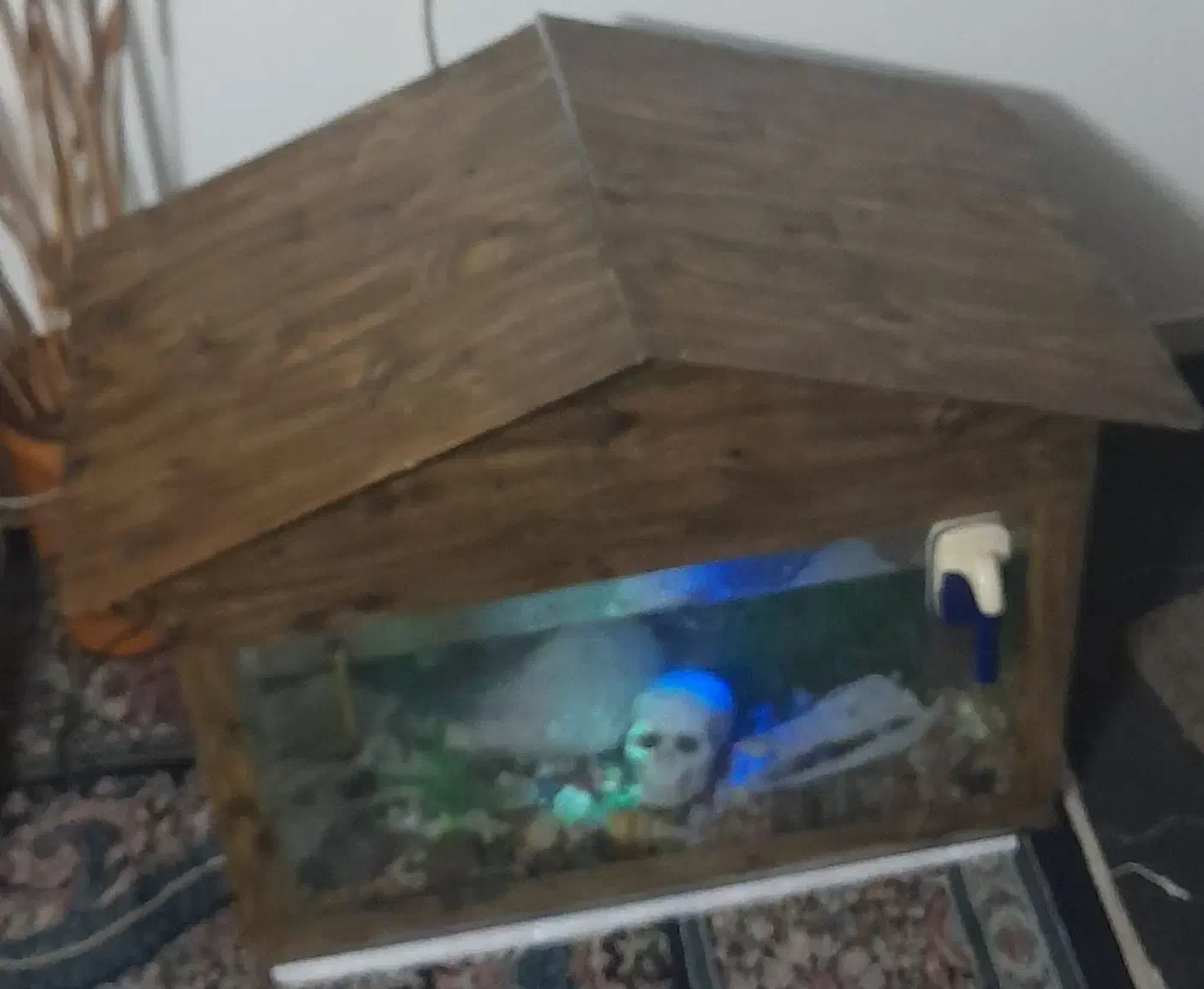 آکواریوم ماهی باتمام لوازم برقی و تزعینی|ماهی|نیشابور, مدرس|دیوار