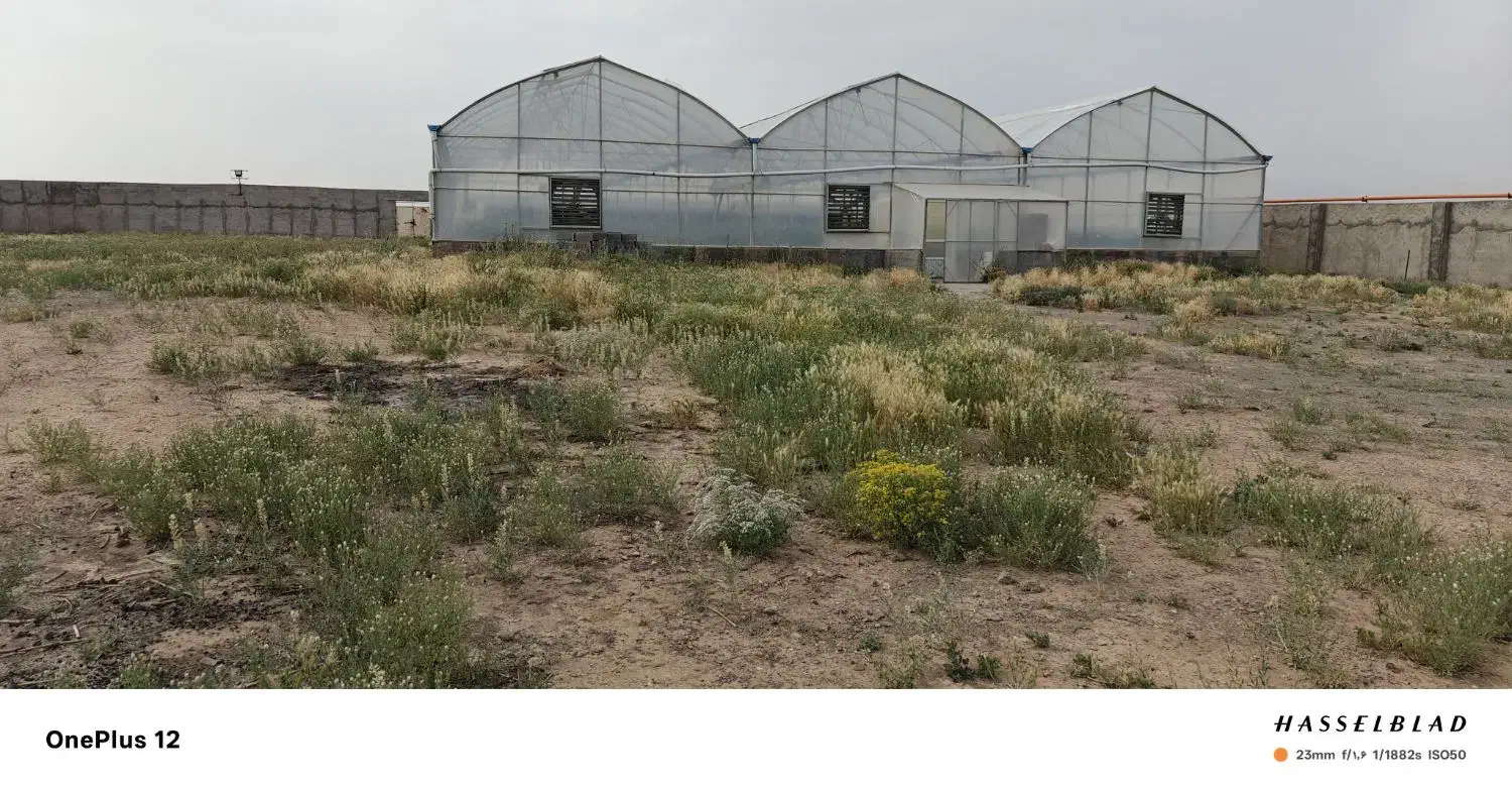 زمین زراعی با مجوز دیوار کشی و امتیازات|فروش دفتر صنعتی، کشاورزی، تجاری|مشهد, درزآب|دیوار